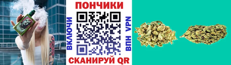 Бошки марихуана гибрид Кировск